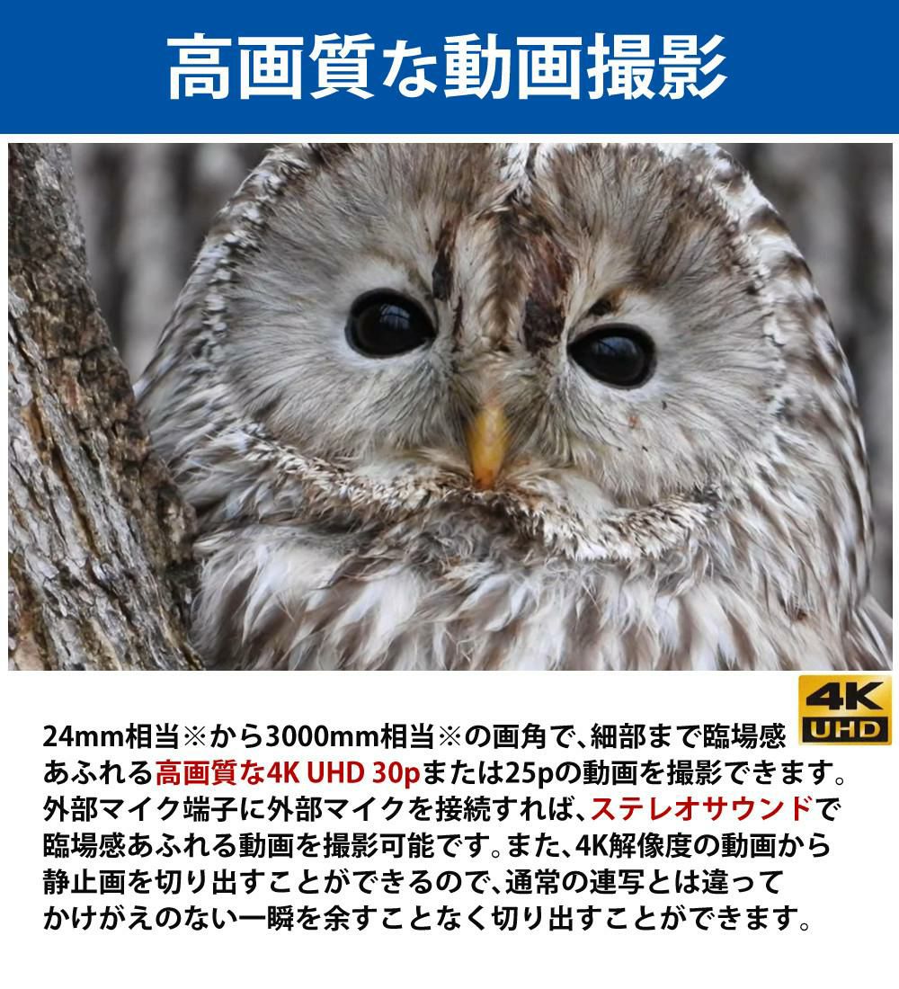 SD・レンズフィルター・クロス付 <br> 新品  Nikon ニコン コンパクトデジタルカメラ COOLPIX P1000 クールピクス 1605万画素 手ブレ補正 高画質 3000mm相当 光学125倍 超望遠ズーム 4K動画撮影 RAW NRW 対応 野鳥撮影 月 惑星 天体