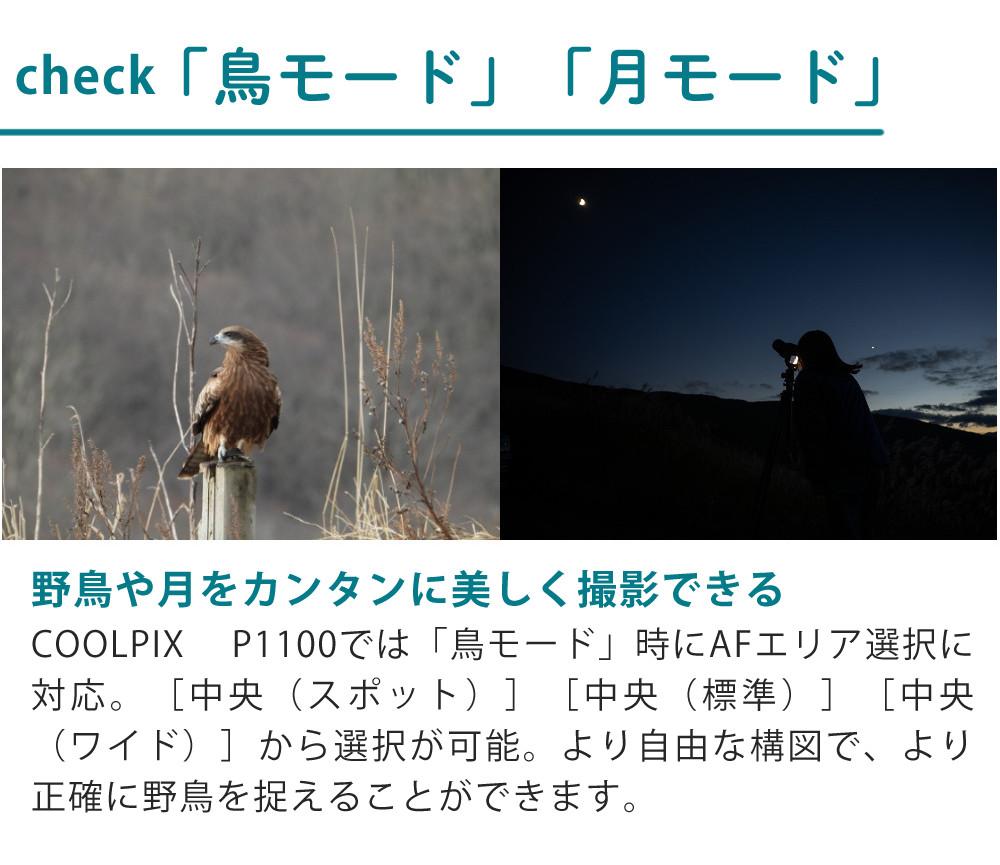 SD・レンズフィルター・クロス付 <br> 新品  Nikon ニコン コンパクトデジタルカメラ COOLPIX P1000 クールピクス 1605万画素 手ブレ補正 高画質 3000mm相当 光学125倍 超望遠ズーム 4K動画撮影 RAW NRW 対応 野鳥撮影 月 惑星 天体