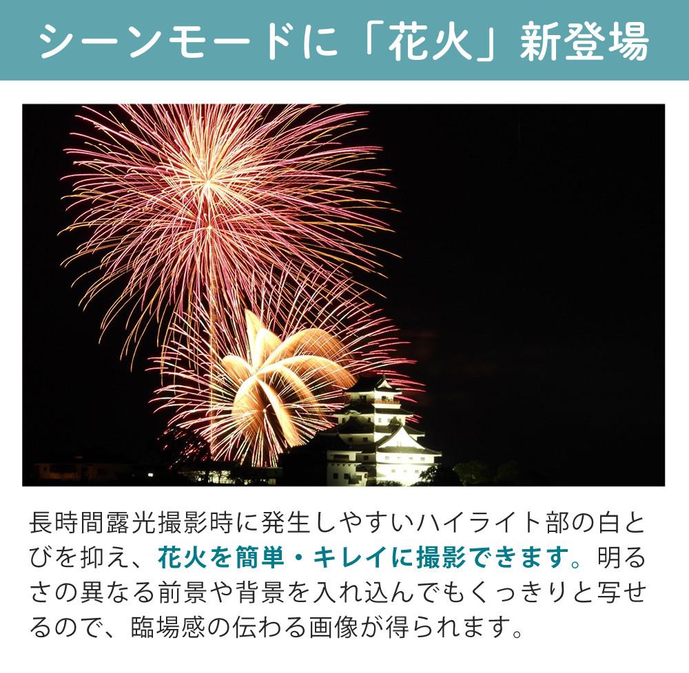 SD・レンズフィルター・クロス付 <br> 新品  Nikon ニコン コンパクトデジタルカメラ COOLPIX P1000 クールピクス 1605万画素 手ブレ補正 高画質 3000mm相当 光学125倍 超望遠ズーム 4K動画撮影 RAW NRW 対応 野鳥撮影 月 惑星 天体