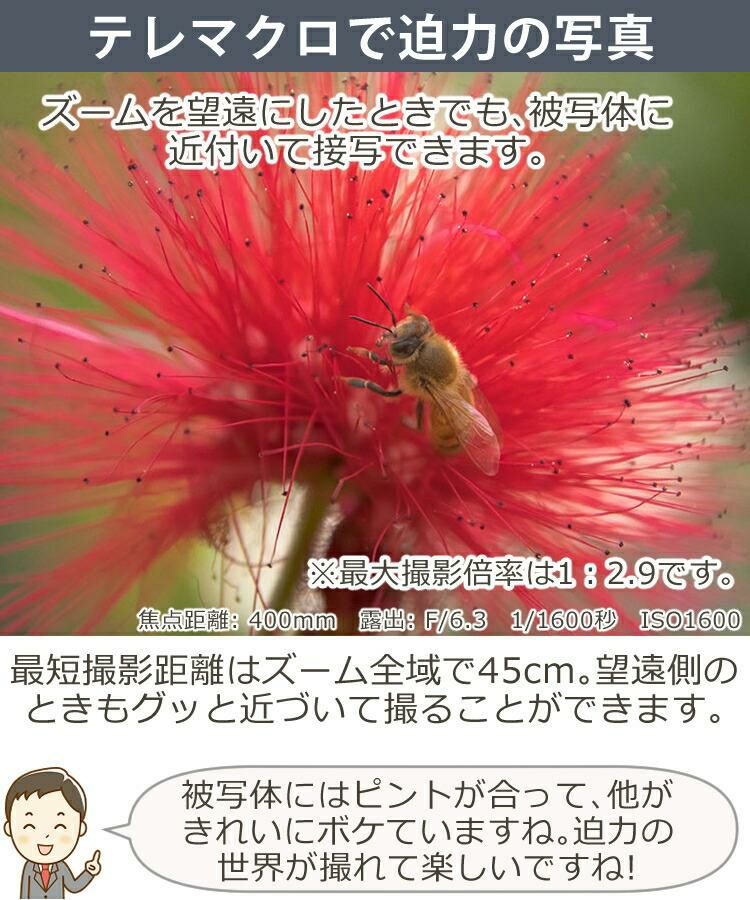 画像11