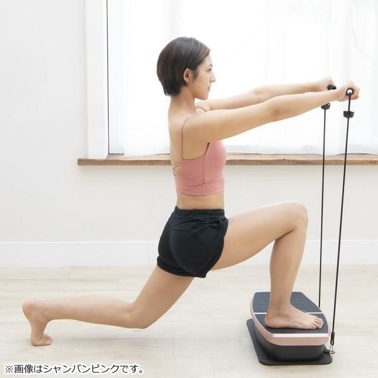 歩数計付き WELLSPO ハイブリッドコア HC-BB-30 ブラック ラッピング不可