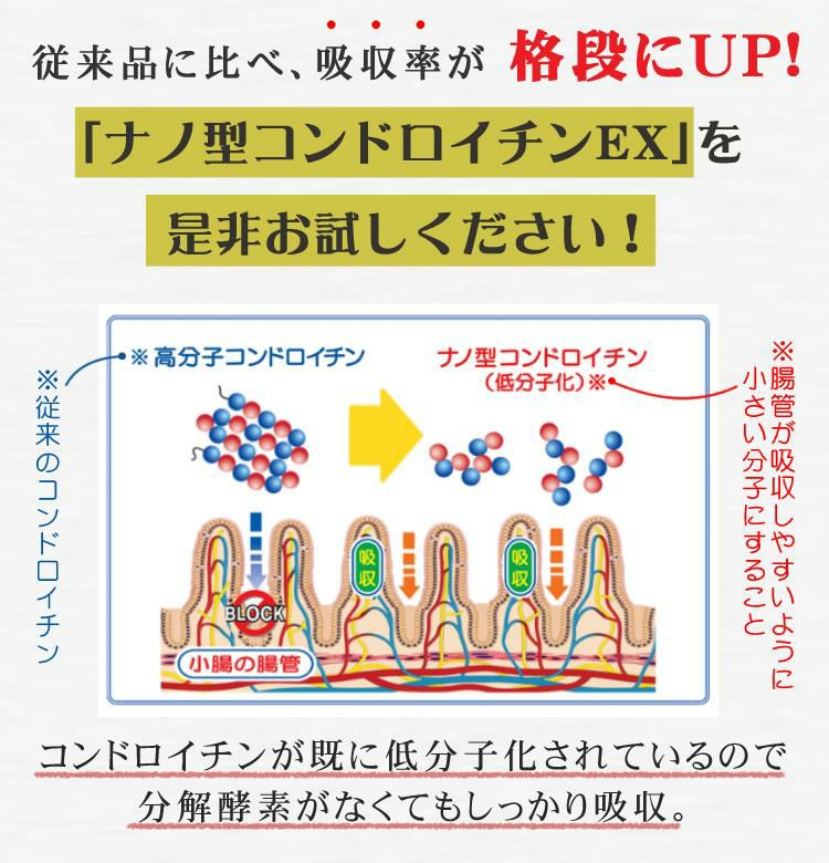 製法特許取得  ナノ型コンドロイチンEX 62粒 サプリ 1ヶ月分 丸共バイオフーズ 非変性II型コラーゲン配合 健康サプリ 栄養補助 サプリメント コンドロイチン コラーゲン コラーゲンペプチド  メール便可：10点まで  ラッピング不可