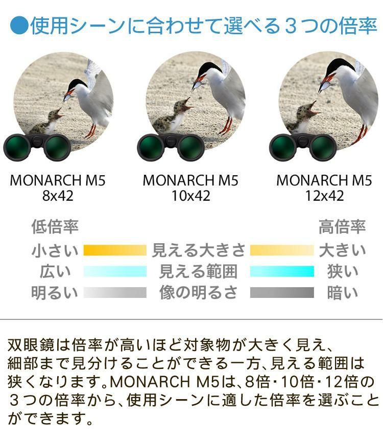 ニコン 双眼鏡 モナーク M5  8x42