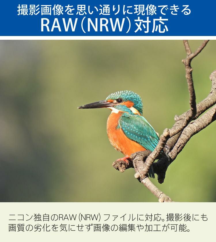 SD・レンズフィルター・クロス付 <br> 新品  Nikon ニコン コンパクトデジタルカメラ COOLPIX P950 クールピクス 1605万画素 手ブレ補正 高画質 2000mm相当 光学83倍 超望遠ズーム 4K動画撮影 RAW NRW 対応 野鳥撮影 月 惑星 天体