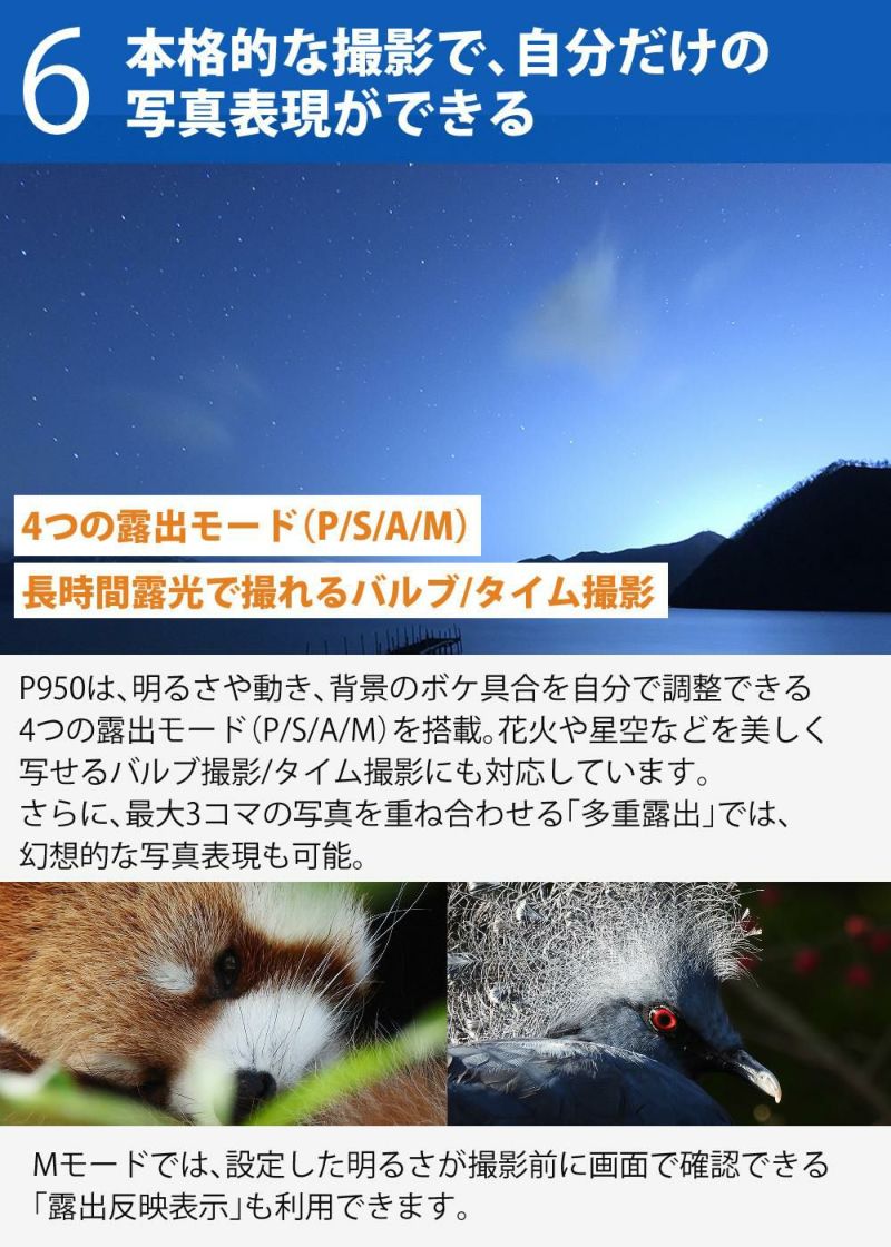 SD・レンズフィルター・クロス付 <br> 新品  Nikon ニコン コンパクトデジタルカメラ COOLPIX P950 クールピクス 1605万画素 手ブレ補正 高画質 2000mm相当 光学83倍 超望遠ズーム 4K動画撮影 RAW NRW 対応 野鳥撮影 月 惑星 天体