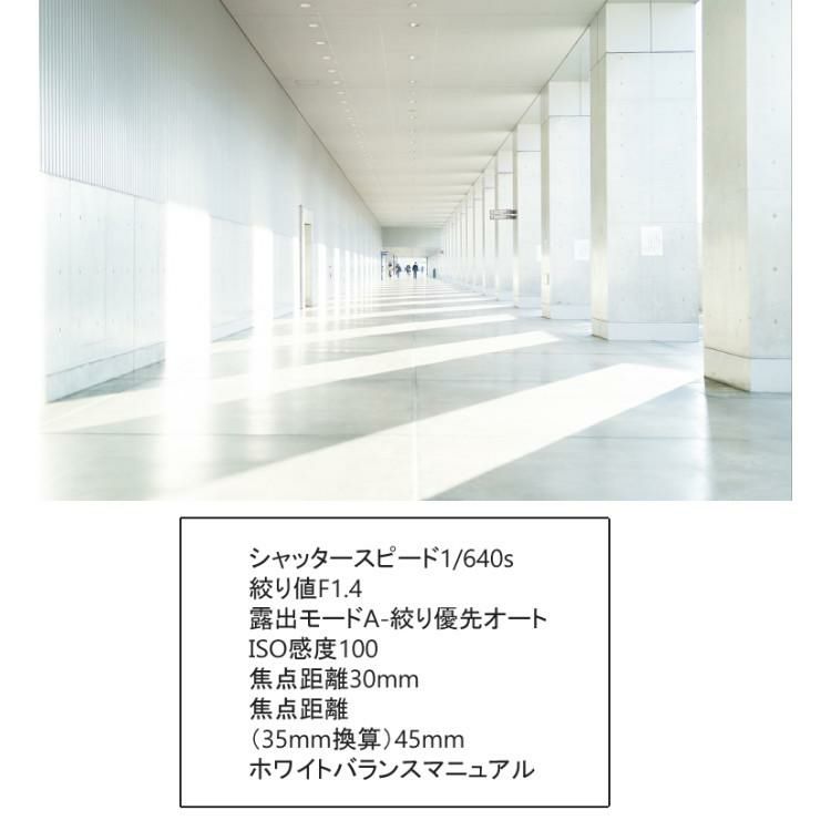 レビューでレンズキャッププレゼント  マルミEXUS サーキュラーフィルター付 シグマ 広角レンズ 30mm F1.4 DC DN C Lマウント用