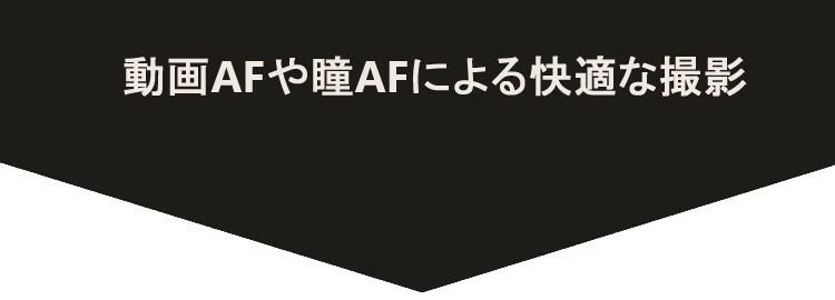 レビューでレンズキャッププレゼント  レンズ保護フィルター付 シグマ 100-400mm F5-6.3 DG DN OS  C  ライカLマウント用