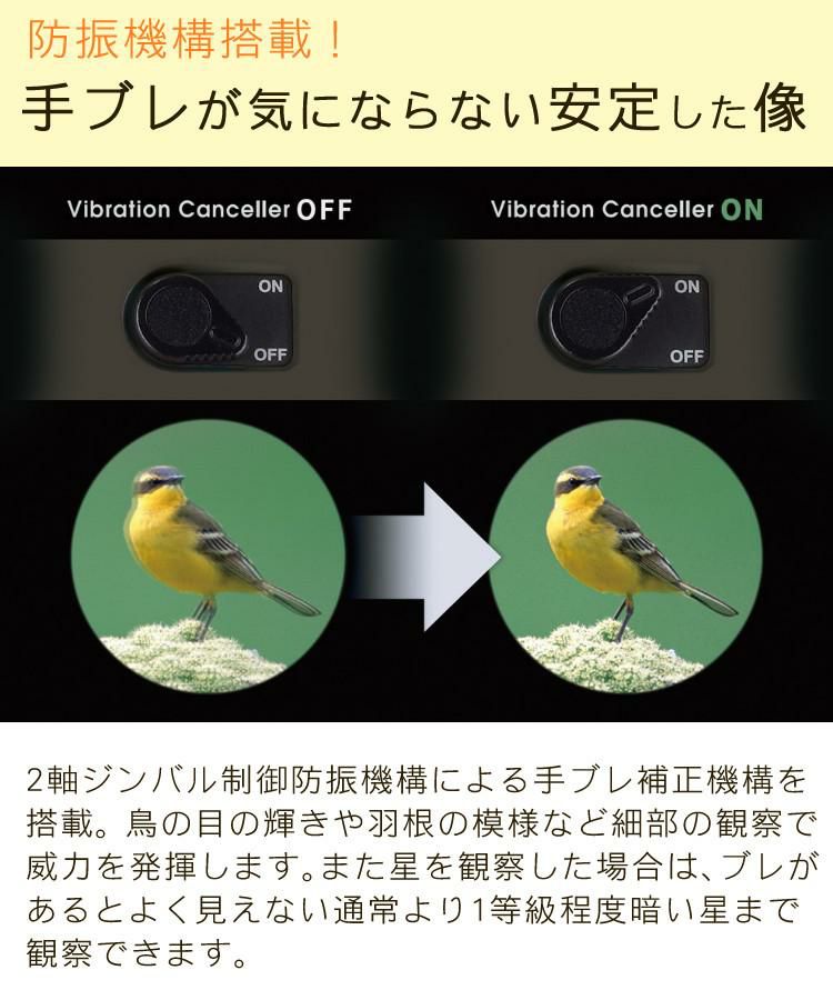 ビクセン  双眼鏡  アテラ2  H10×21   グレージュ    電池・クリーニングティッシュ付