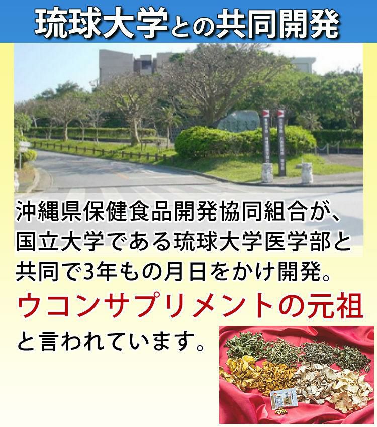 酒豪伝説 プレミアム ウコン サプリ 10点セット 沖縄長生薬草