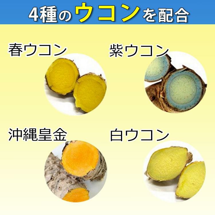 酒豪伝説 プレミアム ウコン サプリ 10点セット 沖縄長生薬草