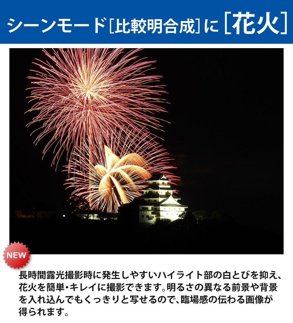 Nikon ニコン コンパクトデジタルカメラ COOLPIX P1000 クールピクス 1605万画素 手ブレ補正 高画質 3000mm相当 光学125倍 超望遠ズーム 4K動画撮影 RAW NRW 対応 野鳥撮影 月 惑星 天体