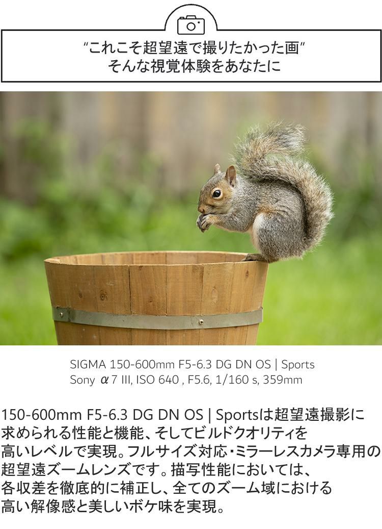 レビューでレンズキャッププレゼント シグマ 150-600mm F5-6.3 DG DN OS  S  ライカ Lマウント用 ミラーレス専用 超望遠ズーム