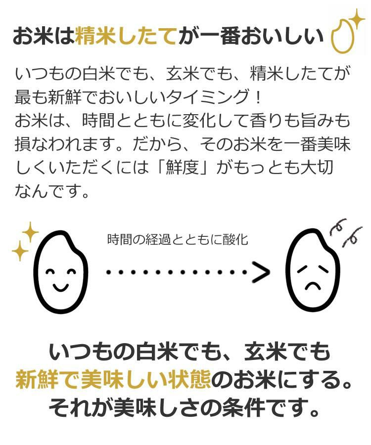 お米は精米直後が一番おいしい