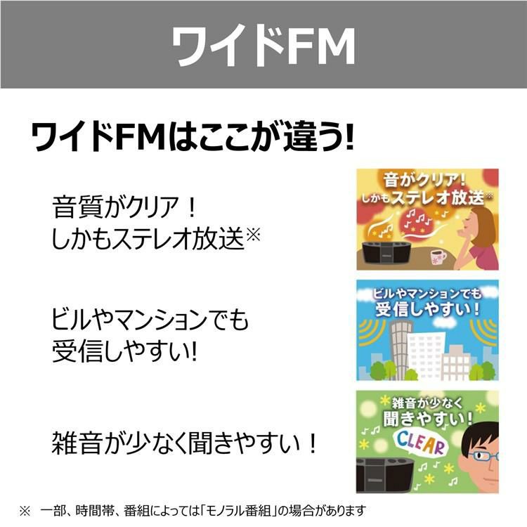 エコーカラオケが楽しめるマイク他付き 東芝 CDラジカセ TY-CDX91 S  シルバー SD/USB対応  ラッピング不可