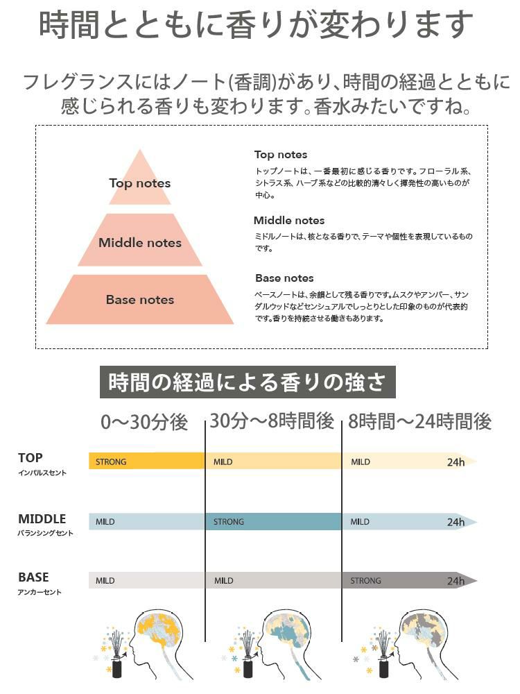 国内正規取扱店  ブレンドにオススメ 選べるオイル2本セット アシュレイ＆バーウッド フレグランスランプ フェアリー ダスト Lサイズ＆オイル2本セット PFL136 フレグランス オイル 除菌 消臭 芳香 ASHLEIGH&BURWOOD ルームフレグランス