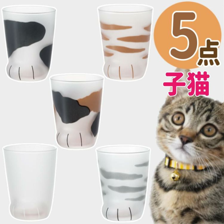 アデリア ここねこ coconeco 子猫 グラス 230ml ミケ トラ ブチ ムジ サバトラ 5点セット  ラッピング不可  熨斗対応不可