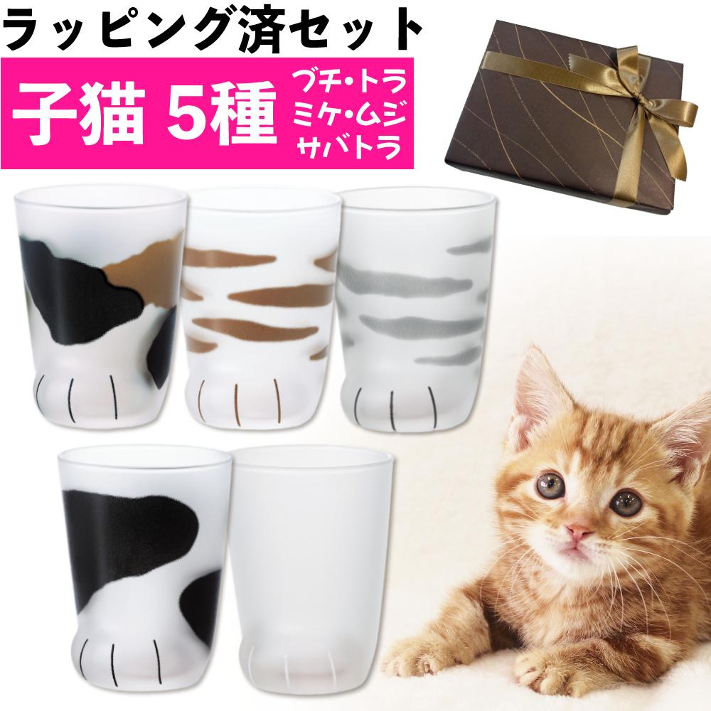アデリア ここねこ coconeco 子猫 グラス 230ml ミケ トラ ブチ ムジ サバトラ 5点セット 猫柄ラッピング済   熨斗対応不可