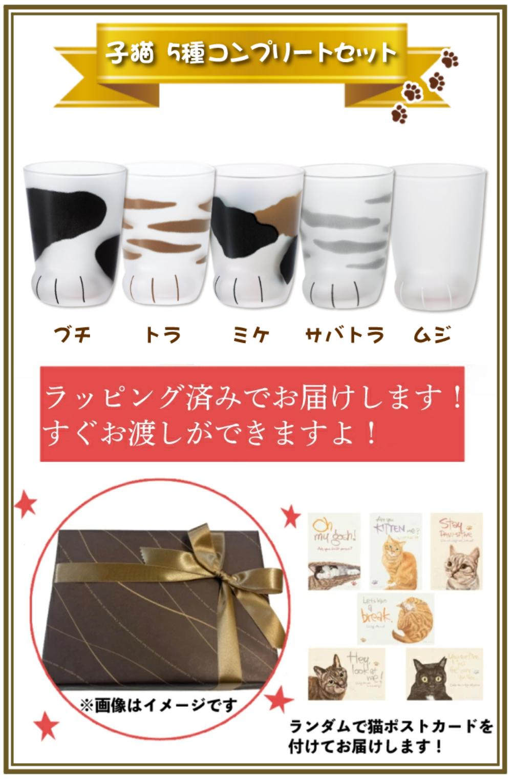 アデリア ここねこ coconeco 子猫 グラス 230ml ミケ トラ ブチ ムジ サバトラ 5点セット 猫柄ラッピング済   熨斗対応不可