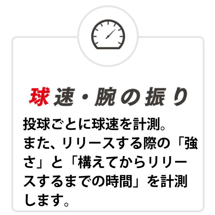 グラブメンテナンス用スポンジ付き エスエスケイ TP001 テクニカルピッチ + MG103 仕上げ用スポンジ セット