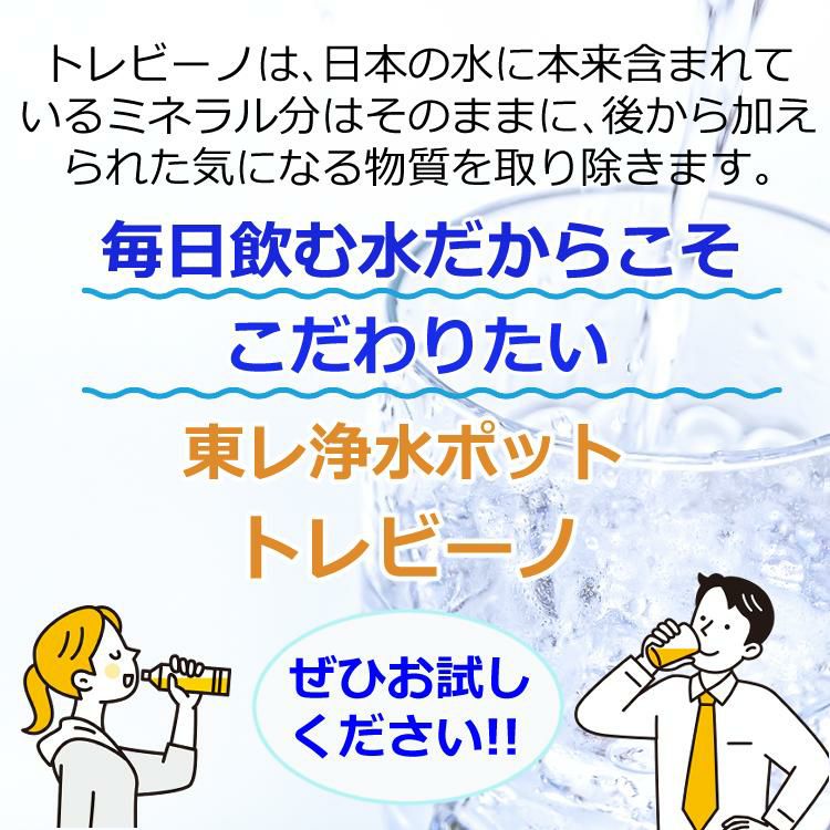 カートリッジ2個付  浄水器 東レ トレビーノ ポット型浄水器 高除去タイプ 本体 1.2L PT502SV & ポット型浄水器用 高除去タイプ カートリッジ2個セット PTC.SV2J 時短浄水 ヨコ置き 横置き 浄水ポット