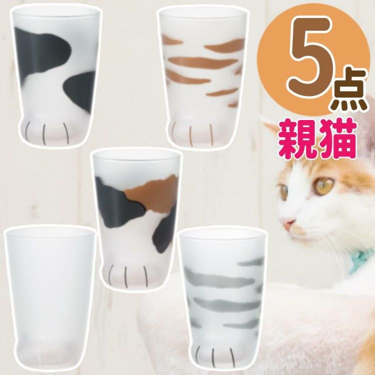 アデリア ここねこ coconeco 親猫 グラス 300ml ミケ トラ ブチ ムジ サバトラ 5点セット  ラッピング不可  熨斗対応不可