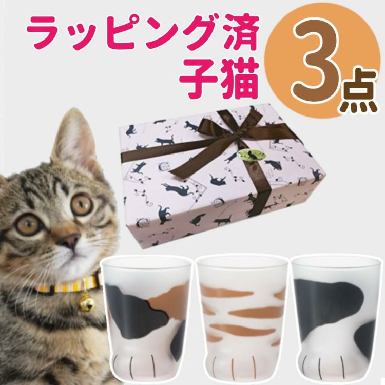 アデリア ここねこ coconeco 子猫 グラス 230ml ミケ トラ ブチ グラス3点セット 食洗機不可 猫柄ラッピング済み  熨斗対応不可