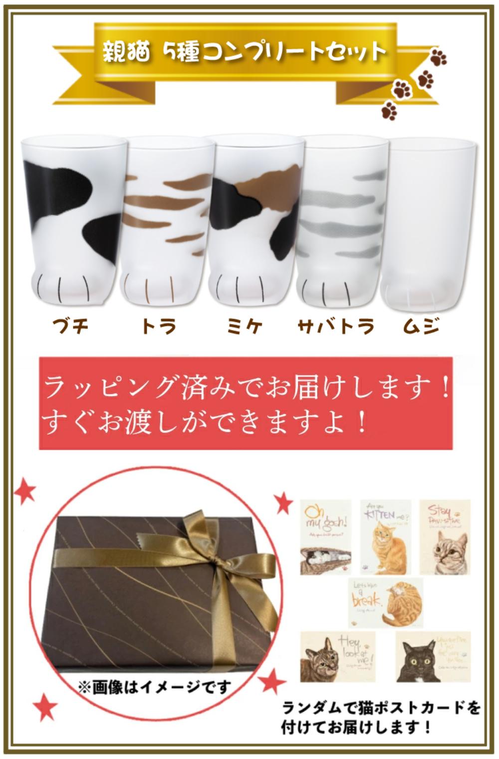 アデリア ここねこ coconeco 親猫 グラス 300ml ミケ トラ ブチ ムジ サバトラ 5点セット 猫柄ラッピング済み  熨斗対応不可