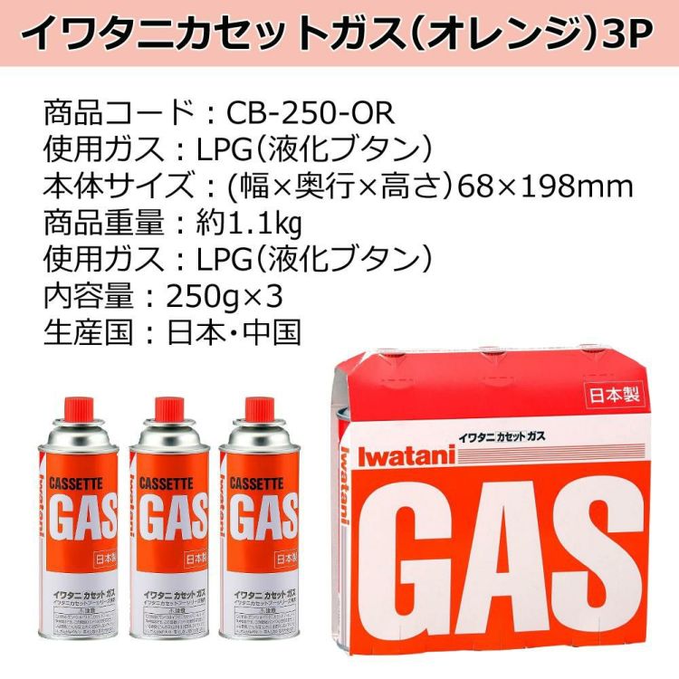 岩谷産業 イワタニ カセットコンロ カセットフー 達人スリムプラス CB-TS-PLS 4点セット  ラッピング不可