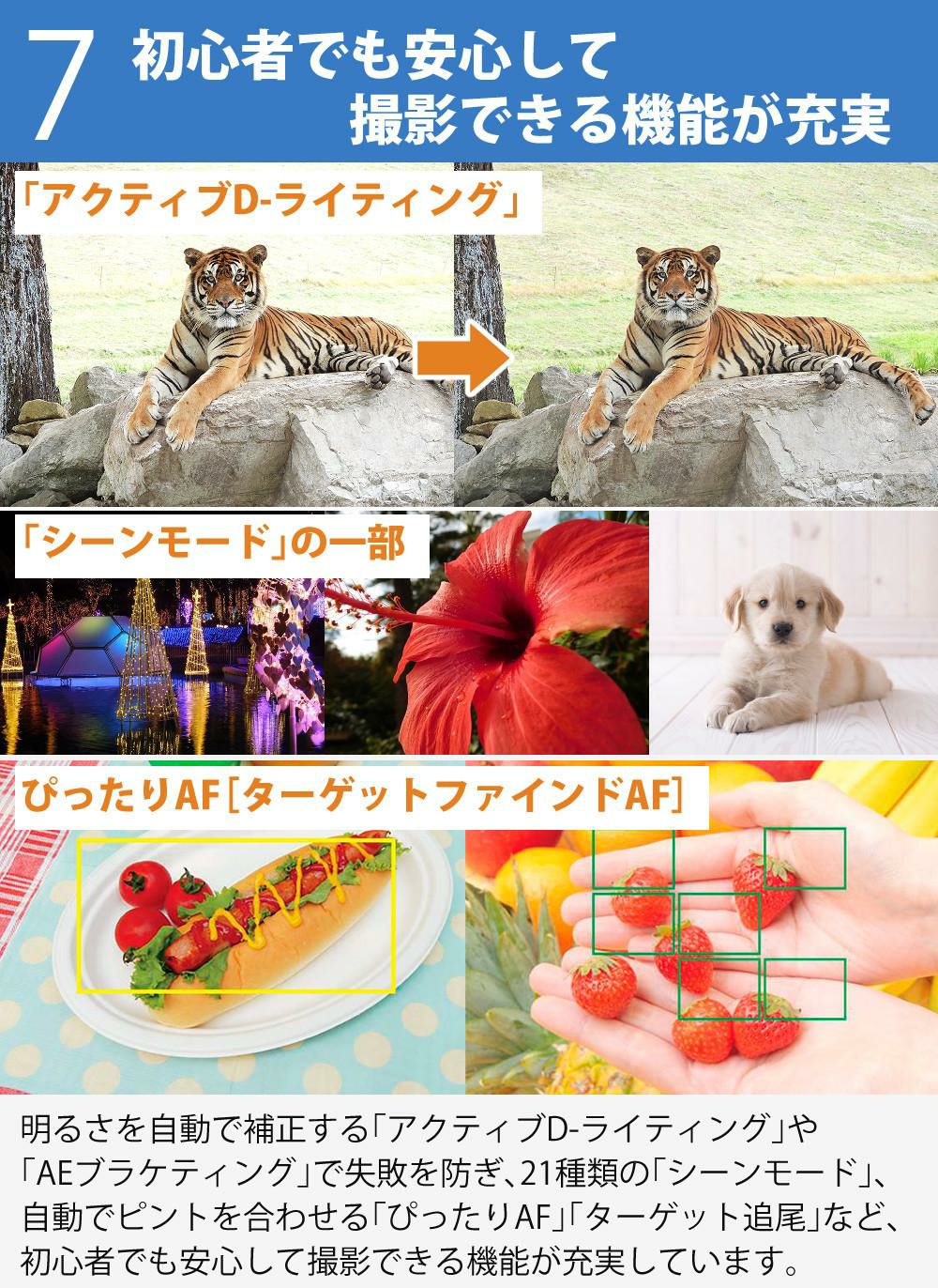 SD・三脚等6点セット   ニコン コンパクトデジタルカメラ COOLPIX P950 クールピクス 1605万画素 手ブレ補正 光学83倍