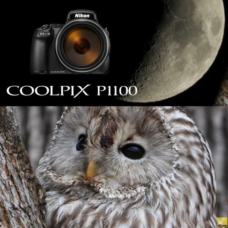 SD・三脚等6点セット <br> 新品  Nikon ニコン コンパクトデジタルカメラ COOLPIX P1000 クールピクス 1605万画素 手ブレ補正 高画質 3000mm相当 光学125倍 超望遠ズーム 4K動画撮影 野鳥撮影 月 惑星 天体