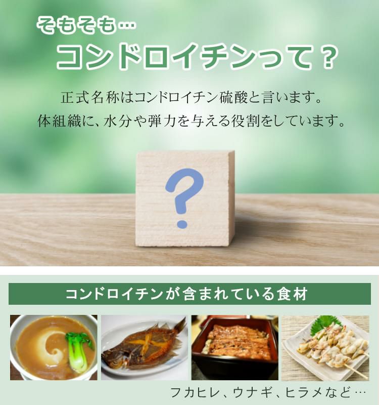 2袋まとめ コンドロイチン サプリメント NANOMEDICA ナノメディカ 高吸収性 ナノ型コンドロイチン 丸共バイオフーズ メール便可：2点まで  ラッピング不可