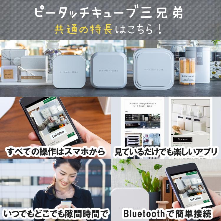 ブラザー PT-P910BT ピータッチキューブ/純正テープ Tze-231＆TZe-251 /アダプタ スマホ シール テープ  5点セット