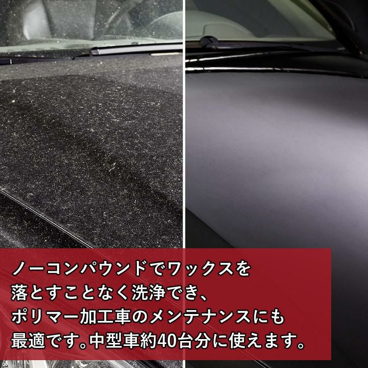 SONAX 自動車用 蓄圧式 フォームスプレーヤー 洗車3点セット ラッピング不可