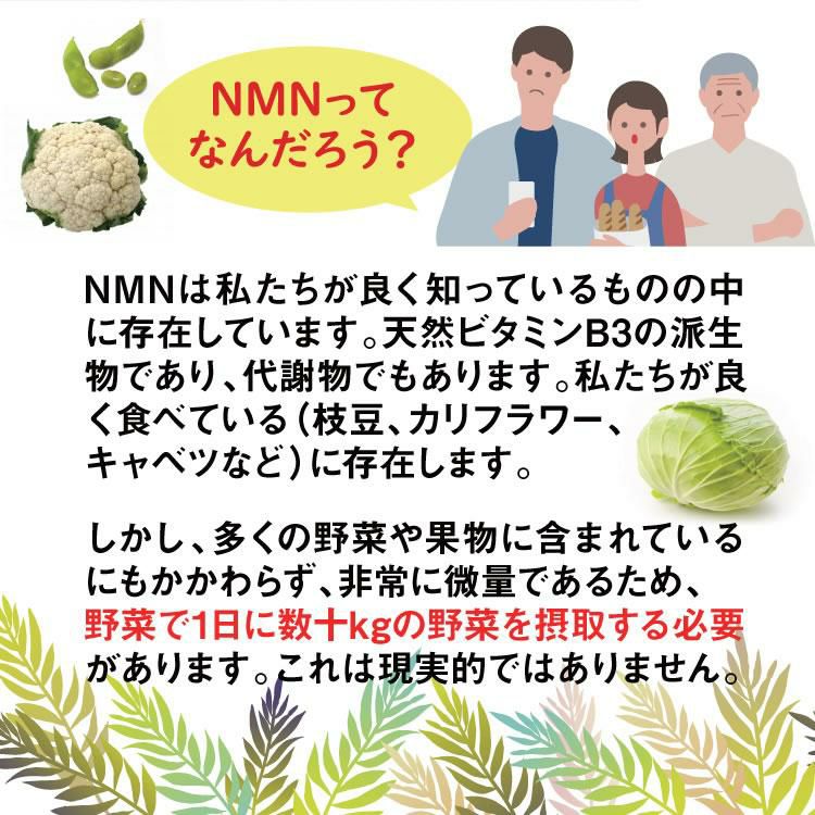 フェイスマスク 5枚入 ヴィオテール  NMN ビューティー フェイス マスク nmn エヌエムエヌ 健康 沖縄長生薬草