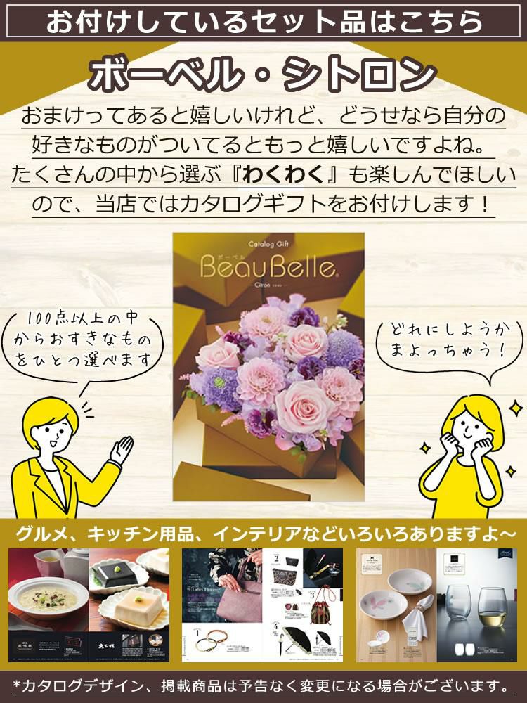 ツインバード 全自動コーヒーメーカー 3杯用 CM-D457B カタログギフトセット ラッピング不可