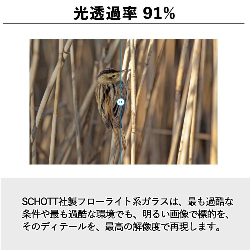 カールツァイス 双眼鏡 ビクトリーポケット 10x25