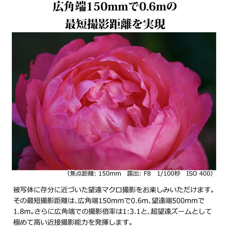 10月31日発売 タムロン 150-500mm F/5-6.7 Di III VC VXD ニコンZマウント用 A057Z 保護フィルター＆レンズワイプセット