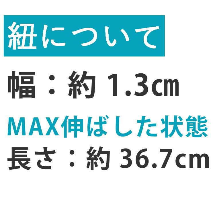「ピップ」×「トリンプ」半永久的に使える磁気治療器 磁気のブラストラップ メール便送料無料：3個まで