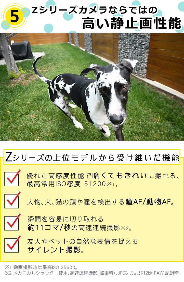 Nikon ニコン ミラーレスカメラ Z30 12-28 PZ VR レンズキット