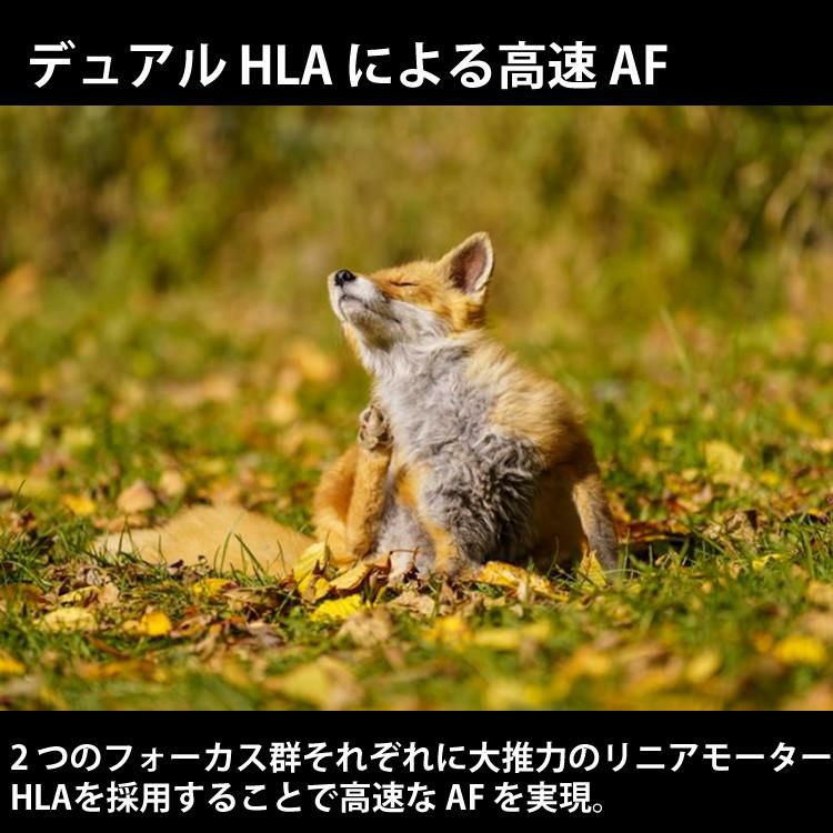 レビューでレンズキャッププレゼント シグマ 70-200mm F2.8 DG DN OS  S  ライカLマウント用