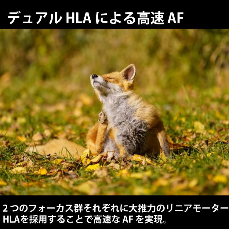 レビューでレンズキャッププレゼント  ミニバッグ付き シグマ 70-200mm F2.8 DG DN OS  S  ソニーEマウント用