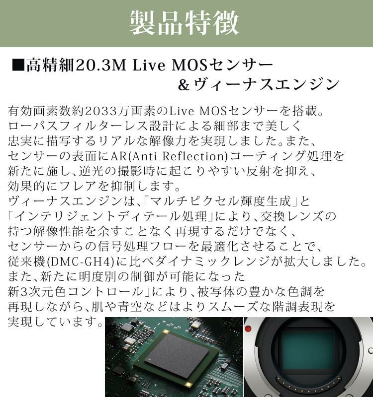 パナソニック ルミックス G9 ミラーレス一眼カメラ DC-G9-K ボディ ブラック  デジカメ ペアリング タッチパネル 手ブレ補正