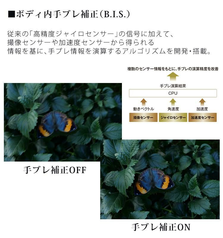 パナソニック ルミックス G9 ミラーレス一眼カメラ DC-G9-K ボディ ブラック  デジカメ ペアリング タッチパネル 手ブレ補正