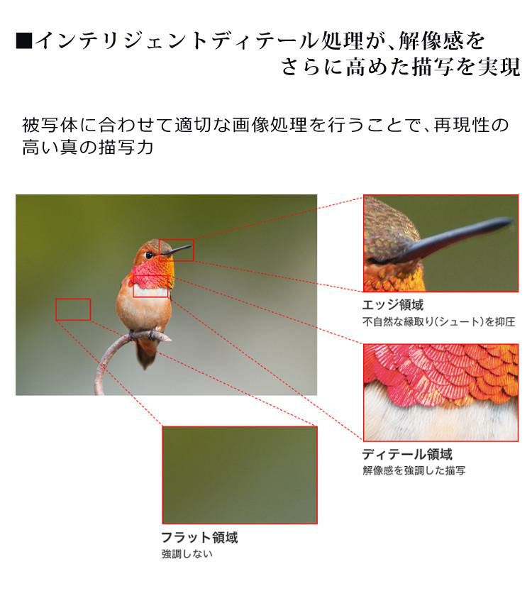 パナソニック ルミックス G9 ミラーレス一眼カメラ DC-G9-K ボディ ブラック  デジカメ ペアリング タッチパネル 手ブレ補正