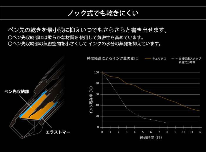 プラチナ万年筆 PKN-7000 キュリダス クリスマス仕様 限定パッケージ 2023