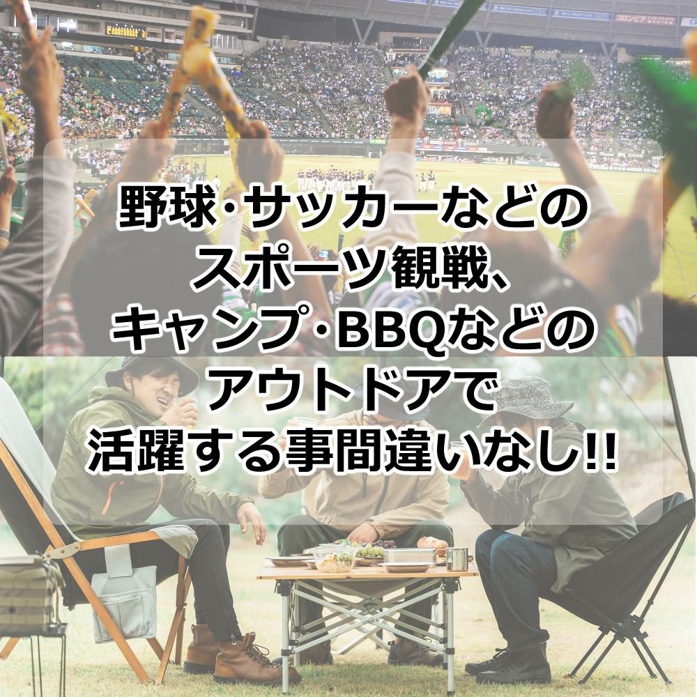 タイガー魔法瓶 TIGER 真空断熱炭酸ボトル MTA-T080 カッパー エメラルド スチール