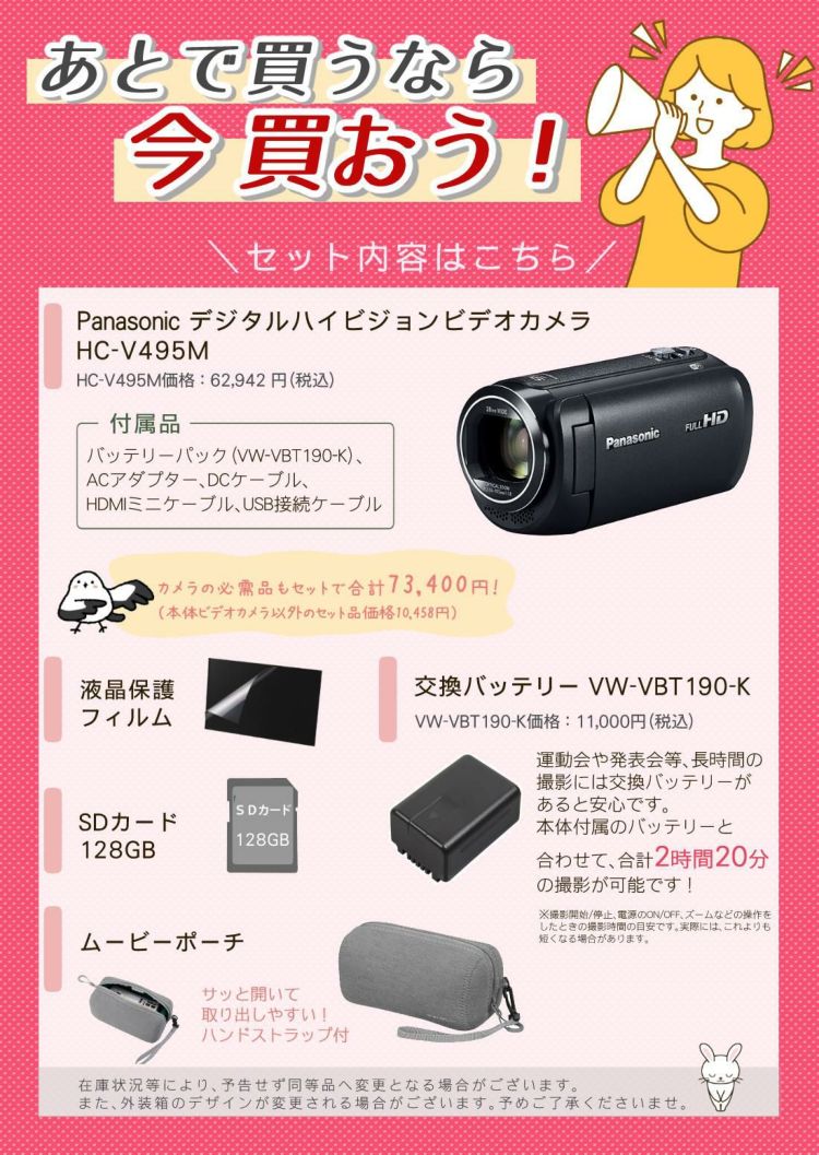 替えバッテリー・ポーチ等5点セット Panasonic パナソニック デジタルハイビジョンビデオカメラ HC-V495M