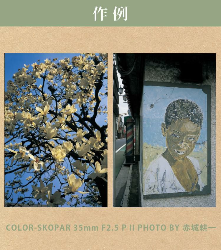 コシナ フォクトレンダー COLOR-SKOPAR 35mm F2.5 P2 VM ライカMマウント互換 単焦点レンズ