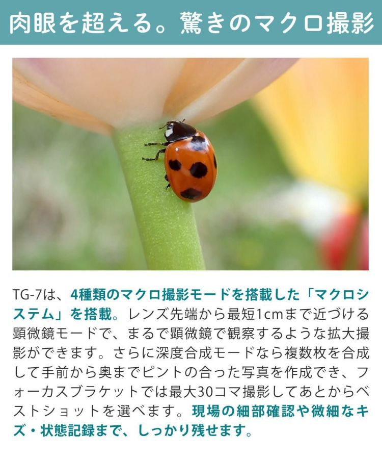 OM SYSTEM デジタルカメラ Tough TG-7 防水 防塵 工事現場用  6点セット