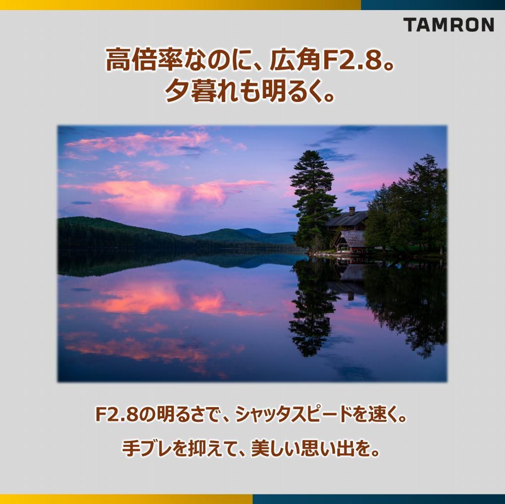 レビューでレンズキャッププレゼント  バッグ付き！ タムロン 28-200mm F/2.8-5.6 Di III RXD ソニーEマウント用 A071SF